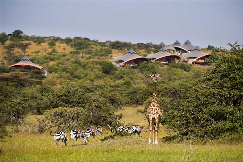 Mahali Mzuri Camp